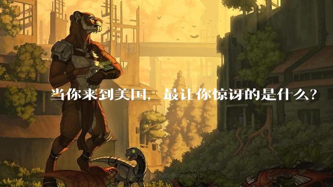 当你来到美国，最让你惊讶的是什么？
