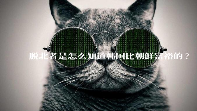 脱北者是怎么知道韩国比朝鲜富裕的?